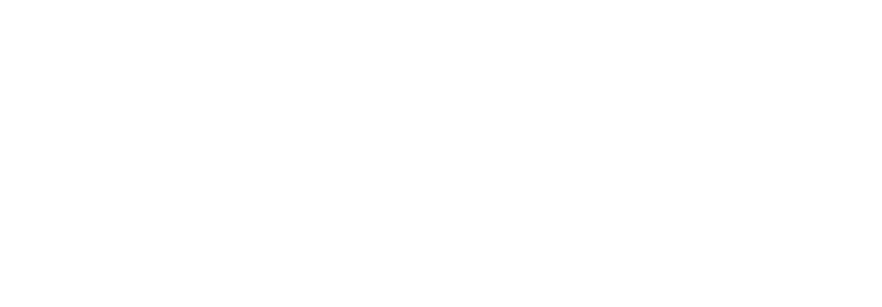 LUALDI logo