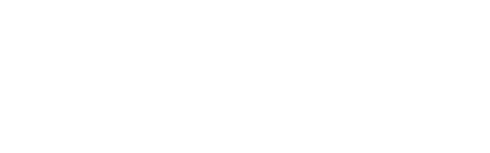 SNAIDERO logo